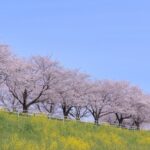 不倫が多い季節とは